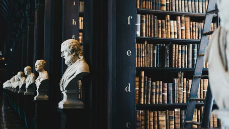 Row of classical marble busts beside an ornate antique law library bookshelf